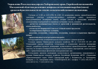 Информация Россельхознадзора по вопросам согласования вырубки (сноса) зеленых насаждений на землях сельскохозяйственного назначения