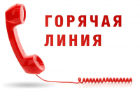 Перейти к новости О проведении